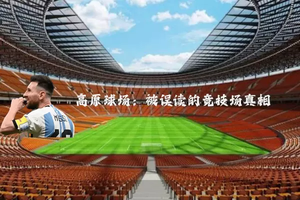 高原球场：被误读的竞技场真相