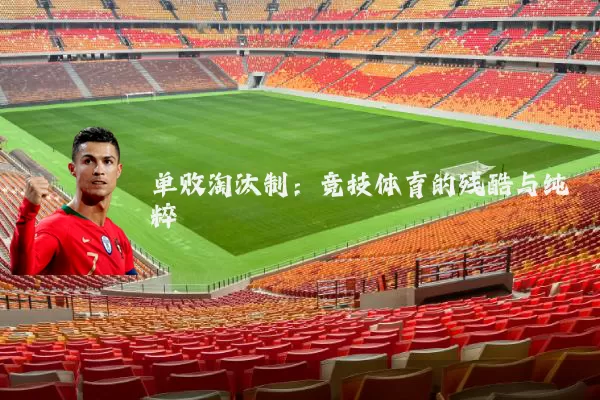 单败淘汰制：竞技体育的残酷与纯粹